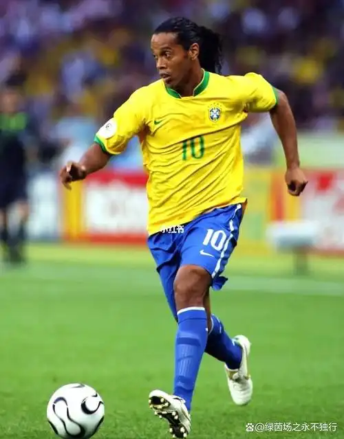 导演了一场 导演了一场